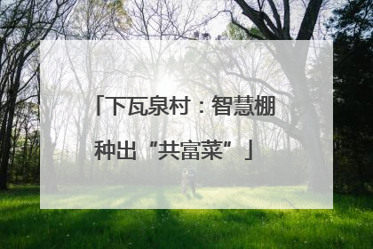 下瓦泉村：智慧棚种出“共富菜”