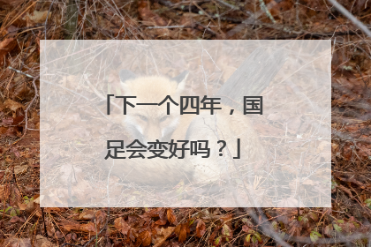 下一个四年，国足会变好吗？