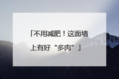 不用减肥！这面墙上有好“多肉”