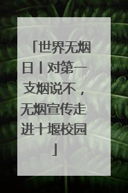 世界无烟日丨对第一支烟说不，无烟宣传走进十堰校园