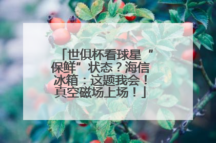 世俱杯看球星“保鲜”状态？海信冰箱：这题我会！真空磁场上场！