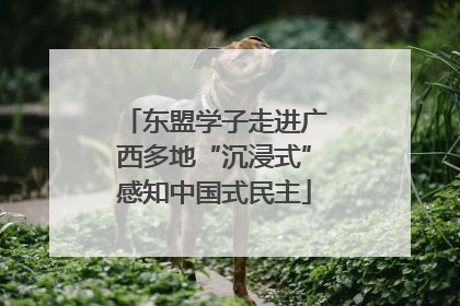 东盟学子走进广西多地“沉浸式”感知中国式民主