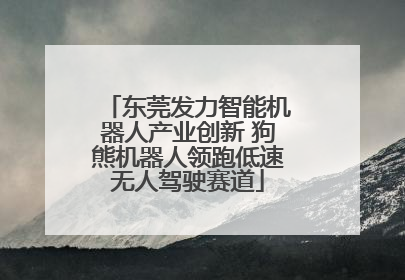 东莞发力智能机器人产业创新 狗熊机器人领跑低速无人驾驶赛道