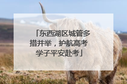 东西湖区城管多措并举，护航高考学子平安赴考