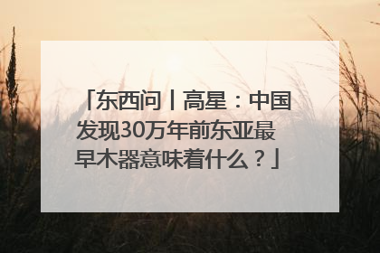 东西问丨高星：中国发现30万年前东亚最早木器意味着什么？