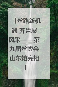 丝路新机遇 齐鲁展风采——第九届丝博会山东馆亮相