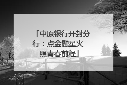 中原银行开封分行：点金融星火 照青春前程