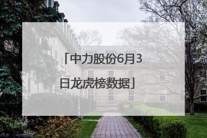 中力股份6月3日龙虎榜数据