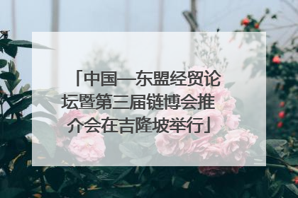 中国—东盟经贸论坛暨第三届链博会推介会在吉隆坡举行