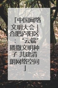 中国网络文明大会｜合肥庐阳区：“云端”播撒文明种子 共建清朗网络空间
