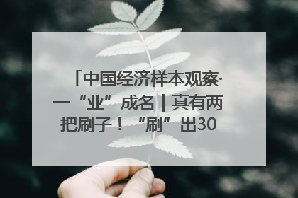 中国经济样本观察·一“业”成名｜真有两把刷子！“刷”出30亿级“颜值经济”