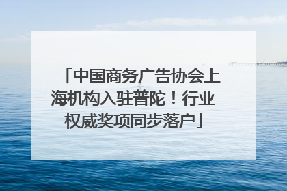 中国商务广告协会上海机构入驻普陀！行业权威奖项同步落户