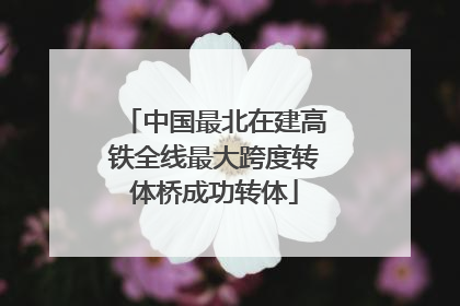 中国最北在建高铁全线最大跨度转体桥成功转体