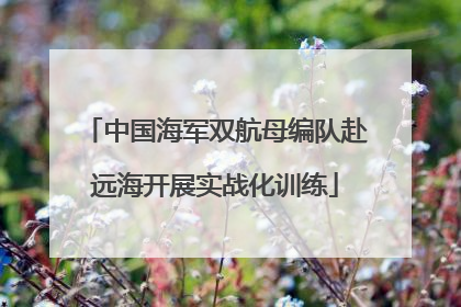 中国海军双航母编队赴远海开展实战化训练