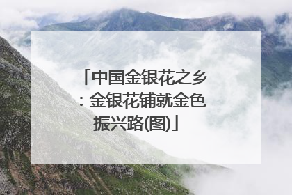 中国金银花之乡：金银花铺就金色振兴路(图)