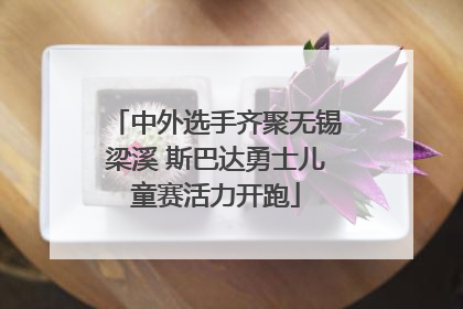 中外选手齐聚无锡梁溪 斯巴达勇士儿童赛活力开跑