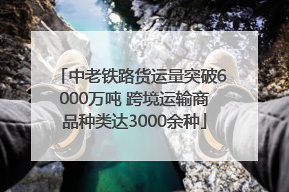 中老铁路货运量突破6000万吨 跨境运输商品种类达3000余种