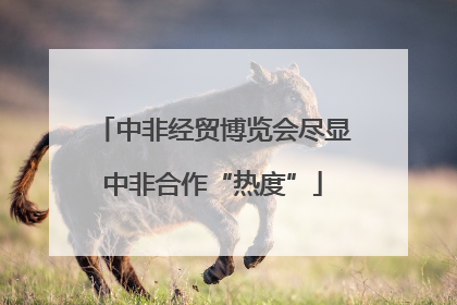 中非经贸博览会尽显中非合作“热度”