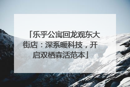 乐乎公寓回龙观东大街店：深系暖科技，开启双栖森活范本