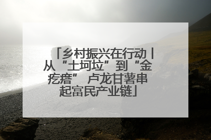 乡村振兴在行动丨从“土坷垃”到“金疙瘩” 卢龙甘薯串起富民产业链