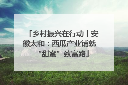 乡村振兴在行动丨安徽太和：西瓜产业铺就“甜蜜”致富路