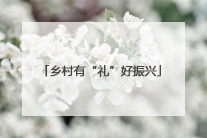 乡村有“礼”好振兴