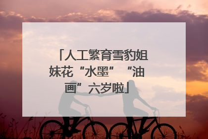 人工繁育雪豹姐妹花“水墨”“油画”六岁啦