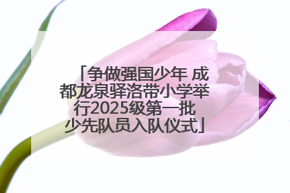 争做强国少年 成都龙泉驿洛带小学举行2025级第一批少先队员入队仪式