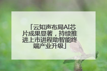 云知声布局AI芯片成果显著，持续推进上市进程助智能终端产业升级