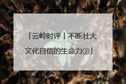 云岭时评丨不断壮大文化自信的生命力②