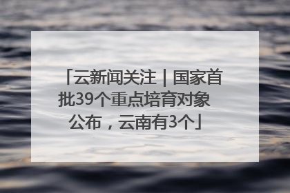 云新闻关注｜国家首批39个重点培育对象公布，云南有3个