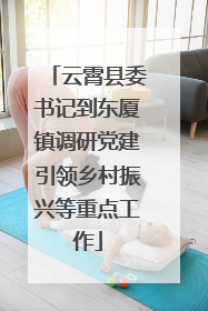 云霄县委书记到东厦镇调研党建引领乡村振兴等重点工作