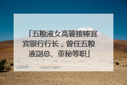 五粮液女高管接棒宜宾银行行长，曾任五粮液副总、董秘等职