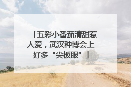 五彩小番茄清甜惹人爱，武汉种博会上好多“尖板眼”