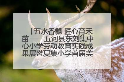 五水香飘 匠心育禾苗——五河县东刘集中心小学劳动教育实践成果展暨夏集小学首届美食节盛大举行