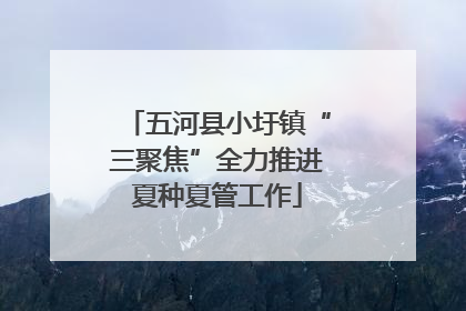 五河县小圩镇“三聚焦”全力推进夏种夏管工作