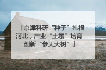 京津科研“种子”扎根河北，产业“土壤”培育创新“参天大树”