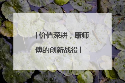 价值深耕，康师傅的创新战役