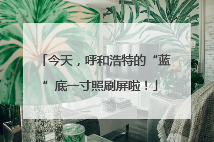 今天，呼和浩特的“蓝”底一寸照刷屏啦！