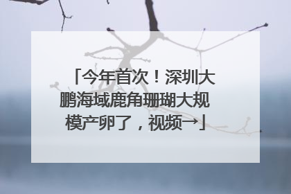 今年首次！深圳大鹏海域鹿角珊瑚大规模产卵了，视频→