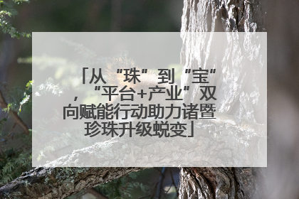 从“珠”到“宝”，“平台+产业”双向赋能行动助力诸暨珍珠升级蜕变