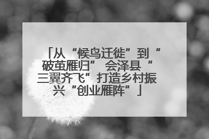 从“候鸟迁徙”到“破茧雁归” 会泽县“三翼齐飞”打造乡村振兴“创业雁阵”