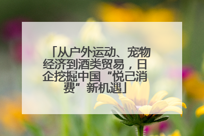 从户外运动、宠物经济到酒类贸易，日企挖掘中国“悦己消费”新机遇