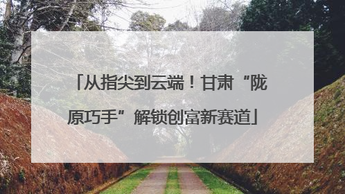 从指尖到云端！甘肃“陇原巧手”解锁创富新赛道