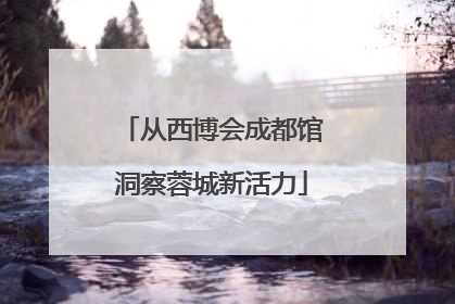 从西博会成都馆洞察蓉城新活力