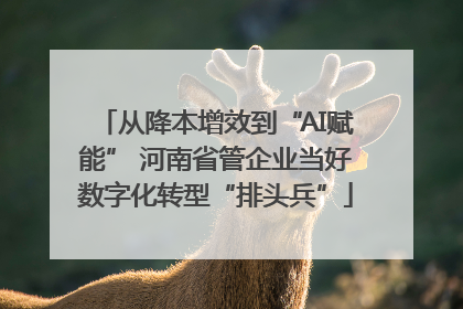 从降本增效到“AI赋能” 河南省管企业当好数字化转型“排头兵”