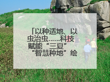 以种适地、以虫治虫……科技赋能“三夏” “智慧种地”绘就好“丰”景