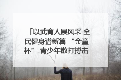 以武育人展风采 全民健身谱新篇 “金童杯” 青少年散打搏击邀请赛圆满落幕