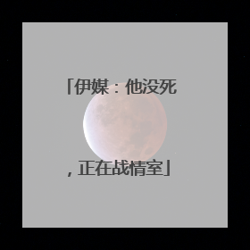 伊媒：他没死，正在战情室