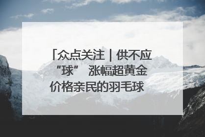 众点关注｜供不应“球” 涨幅超黄金 价格亲民的羽毛球为何身价飞涨？
